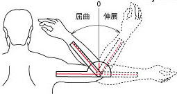 R 370 ゴニオメーターセット タイガー医療器株式会社